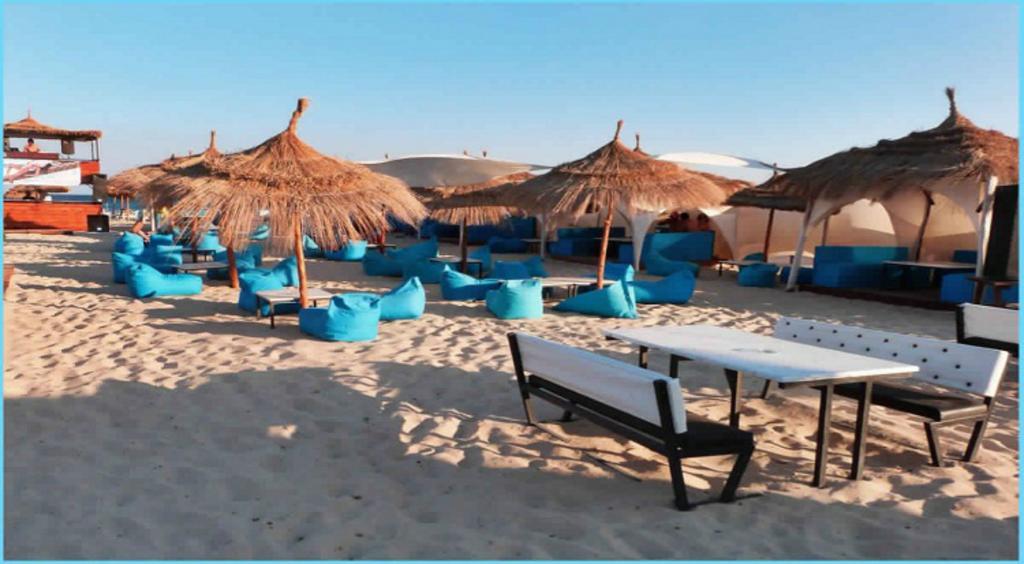 African Queen Hammamet 4*